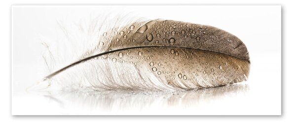 Obraz Styler Glasspik Wings, 50 x 125 cm