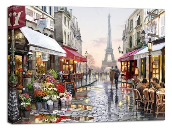 Obraz Styler Canvas Watercolor Paris I, 75 x 100 cm