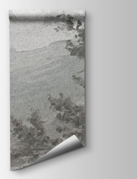 Fototapeta Šedobílá krajina se stromy a řekou, Přírodní fototapety, Populární fototapety, t00856 - Tapeko.co.cz