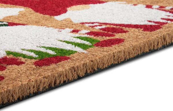 Rohožka Mix Mats Cocos 105674 45x75 cm