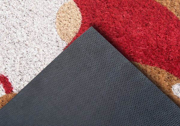 Rohožka Mix Mats Cocos 105674 45x75 cm