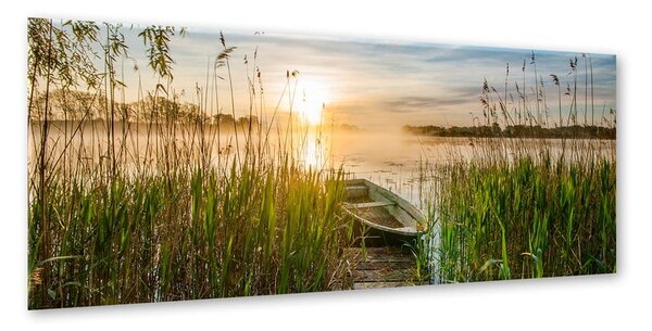 Obraz Styler Boat In The Grass, 125 x 50 cm