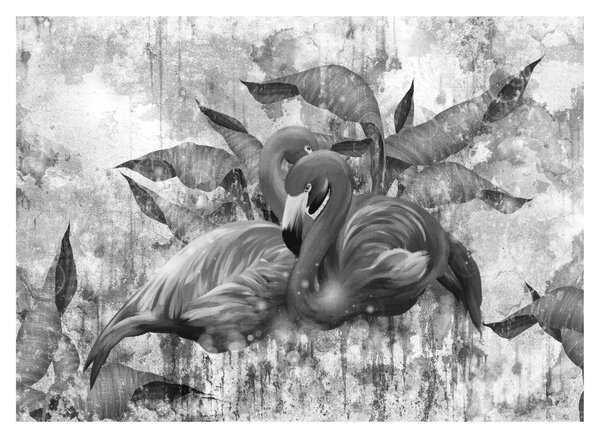 Skleněný obraz - Plameňáci graffiti (70x50 cm)