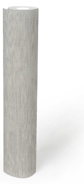 A.S. Création | Vliesová tapeta na zeď Titanium 3 38196-3 | 0,53 x 10,05 m | bílá, krémová, metalická, šedá