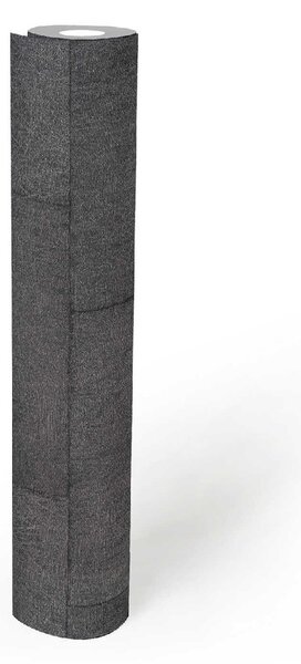 A.S. Création | Vliesová tapeta na zeď Titanium 3 38201-6 | 0,53 x 10,05 m | metalická, šedá