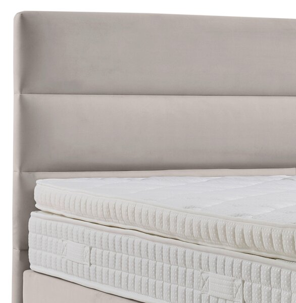 POSTEL BOXSPRING, 180/200 cm, krémová MID.YOU - Online Only postele, Online Only