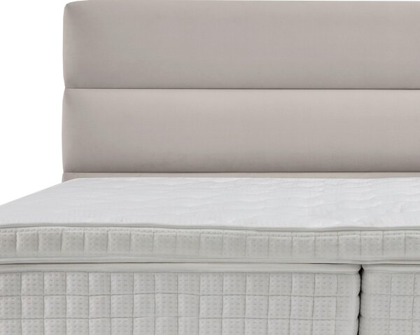 POSTEL BOXSPRING, 180/200 cm, krémová MID.YOU - Online Only postele, Online Only