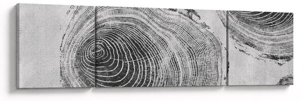 Obraz - Motiv stromu (170x50 cm)