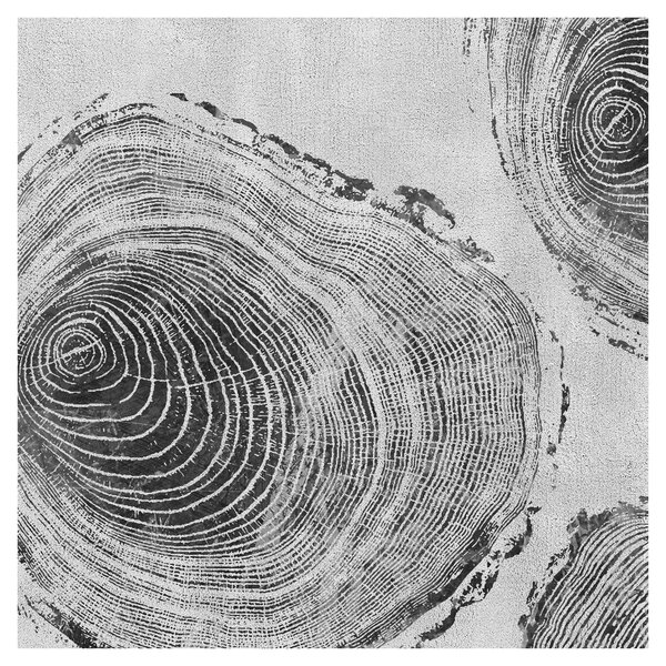 Obraz - Motiv stromu (30x30 cm)
