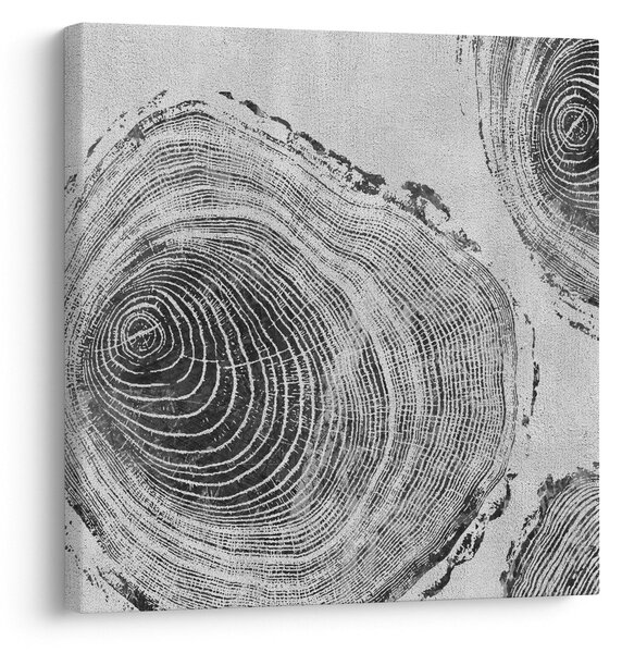Obraz - Motiv stromu (30x30 cm)