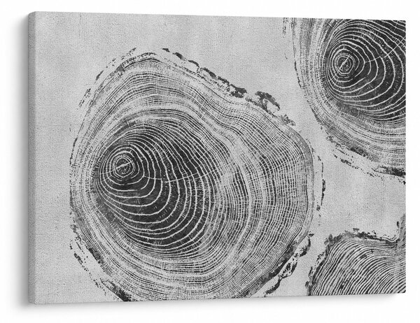 Obraz - Motiv stromu (70x50 cm)