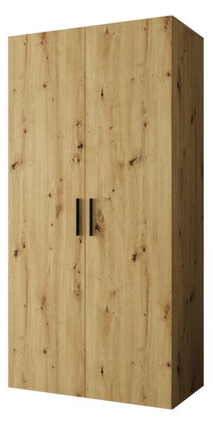 Šatní skříň 100 cm Borry 1 (dub artisan + černá)