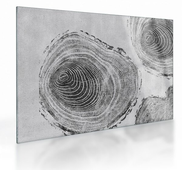 Skleněný obraz - Motiv stromu (70x50 cm)