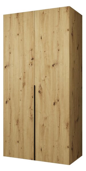 Šatní skříň 100 cm Alice 1 (dub artisan + černá)