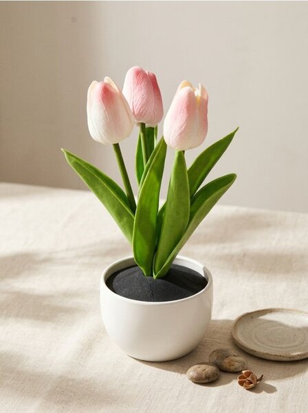 Sinsay - Dekorativní tulipány v květináči - růžová