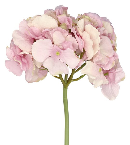 Villa Collection Umělá dekorace Styles Hortenzie 24x60 cm Rose