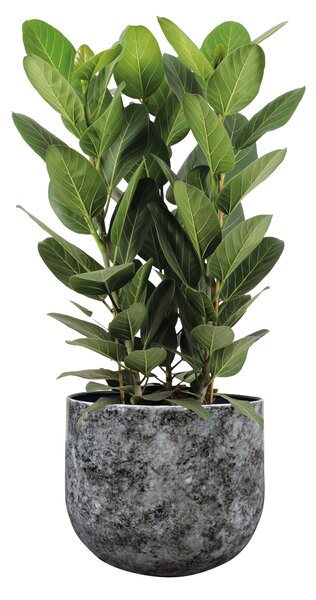 Ter Steege Obal Emmie mystic grey D27 H23