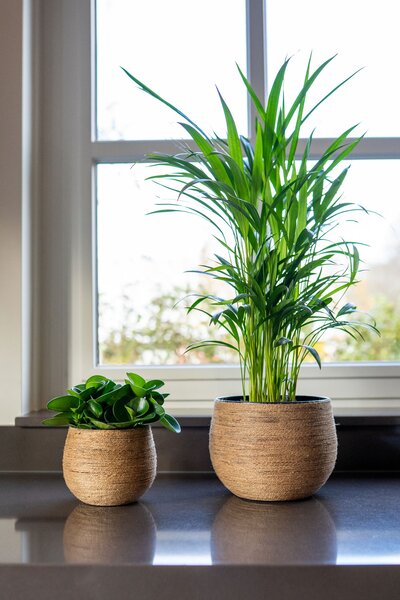 Ter Steege Sada 3 oabalů Nordin natural D33 H28