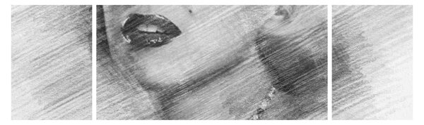 Obraz - Portrén Merilyn Monroe (170x50 cm)