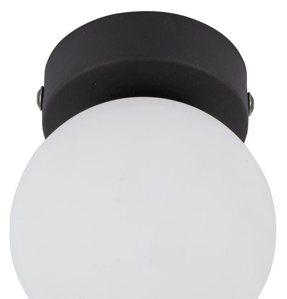 TK Lighting Černé stropní/nástěnné svítidlo Vox 100mm pro žárovku G9 TK5613
