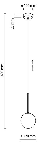 TK Lighting Černý závěsný lustr Martin 120mm pro žárovku G9 TK4502