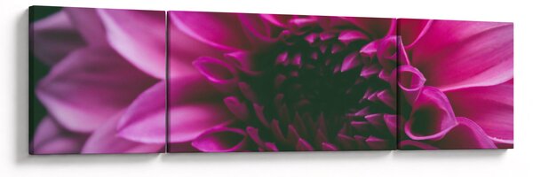 Obraz růžového květu (170x50 cm)