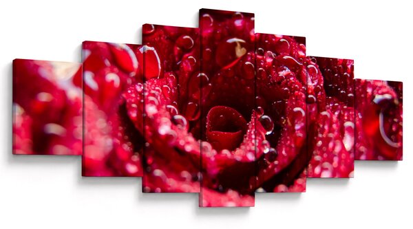 Obraz květu červené růže (210x100 cm)