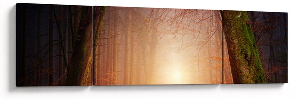 Obraz podzimního lesa v mlze (170x50 cm)