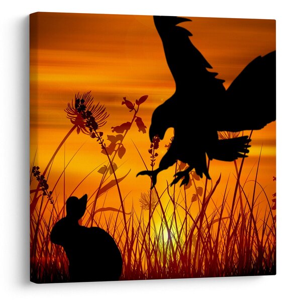 Obraz siluety dravce (30x30 cm)