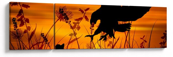Obraz siluety dravce (170x50 cm)