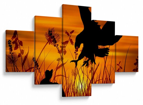 Obraz siluety dravce (125x70 cm)