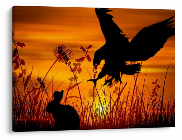 Obraz siluety dravce (70x50 cm)