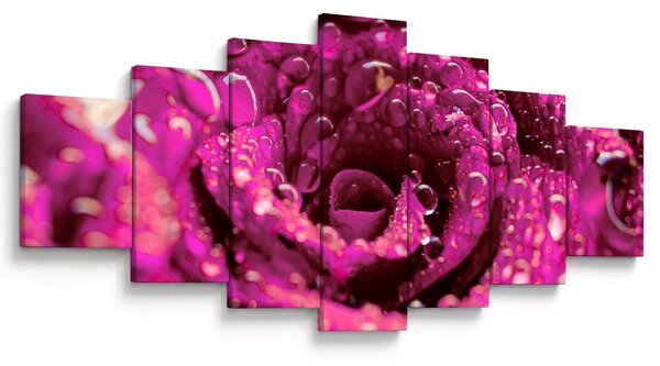 Obraz růžového květu růže (210x100 cm)