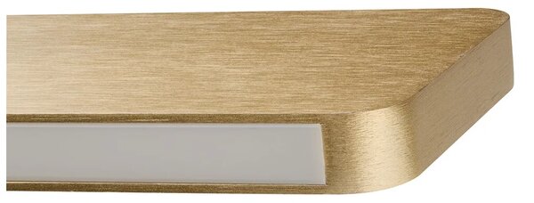 Palnas 62019338 ŠÍŘKA: 1220 mm, OVLÁDÁNÍ: DALI, TEPLOTA LED: 3000-4000 K