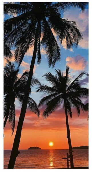 PLÁŽOVÁ OSUŠKA Z MIKROVLÁKNÁ TROPICAL2 100X180 CM VZOROVANÁ