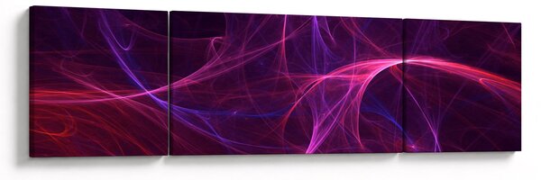 Abstraktní obraz křivek (170x50 cm)