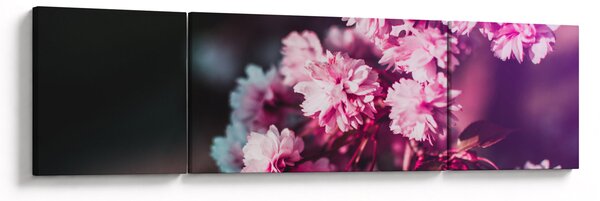 Obraz květů stromu (170x50 cm)