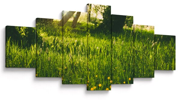 Obraz přírody - louka (210x100 cm)