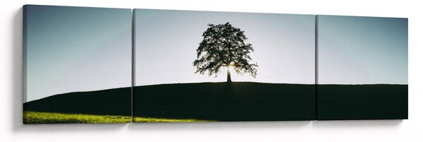 Obraz přírody - strom (170x50 cm)