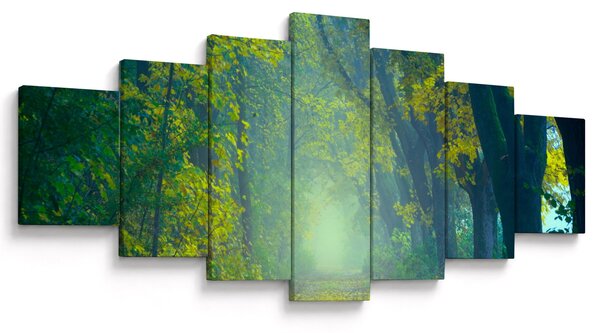 Obraz cesty lemované stromy (210x100 cm)