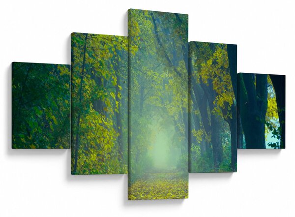 Obraz cesty lemované stromy (125x70 cm)
