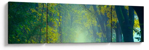 Obraz cesty lemované stromy (170x50 cm)