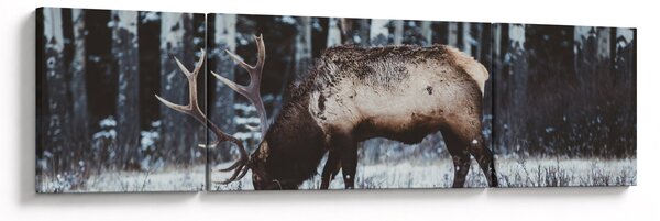 Obraz - jelen v zimě (170x50 cm)