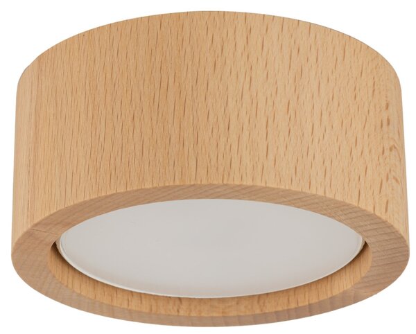 TK Lighting Stropní přisazené svítidlo 10123 EVE WOOD