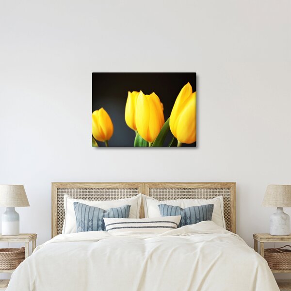 Obraz tulipánů (70x50 cm)
