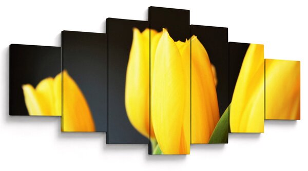 Obraz tulipánů (210x100 cm)
