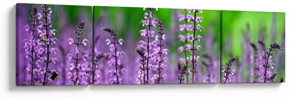 Obraz fialového lučního kvítí (170x50 cm)