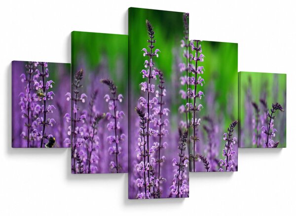 Obraz fialového lučního kvítí (125x70 cm)