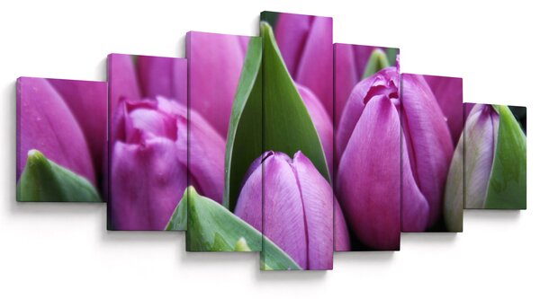 Obraz - květy tulipánů (210x100 cm)