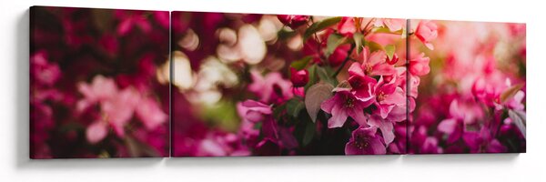 Obraz kvetů rokvitnutého keře (170x50 cm)